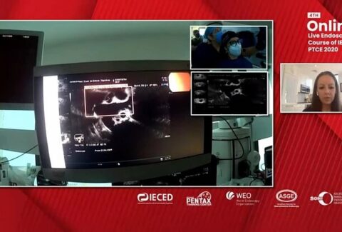 4th online live endoscopy course