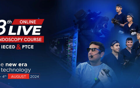 cover-8vo-curso-online-2024